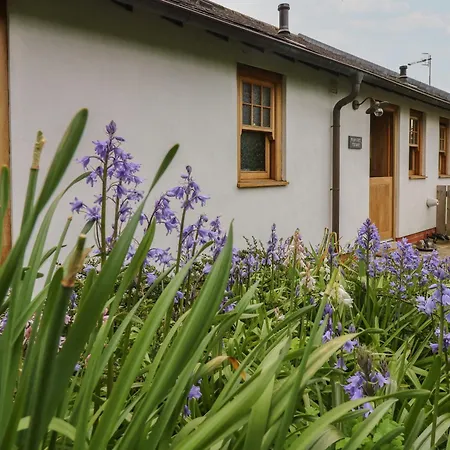 Tatil Evi Plum Tree Castleton (North Yorkshire)